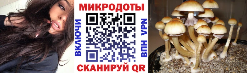 Псилоцибиновые грибы мухоморы  Купить  Кущёвская 