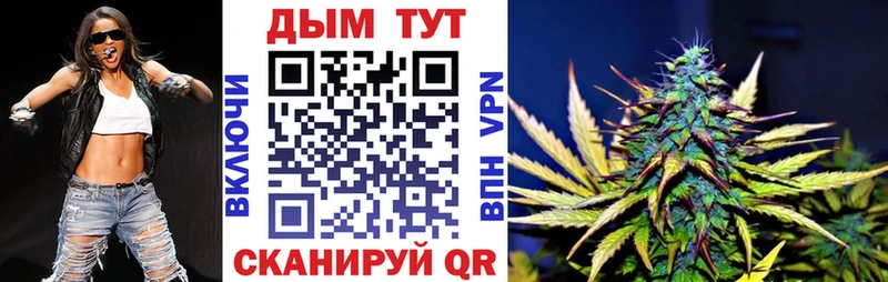 Купить  Кущёвская  Канабис сатива 